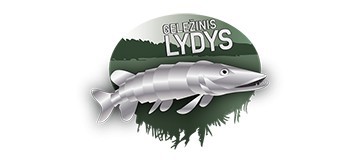 Geležinis Lydys Geležinis Lydys